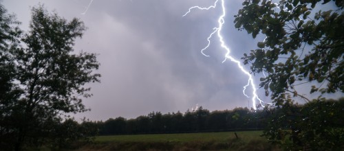 Fenomeen